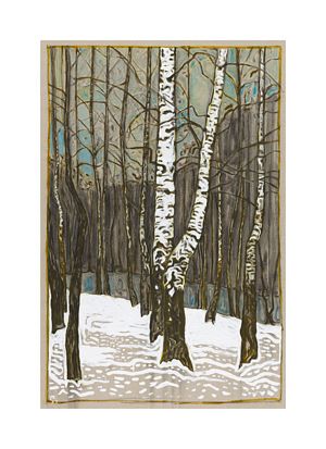 birch woods  in winter