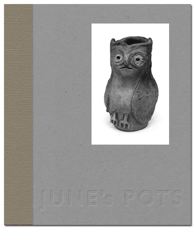 JUNE LEWIS June's Pots - Limited Edition Hardback
