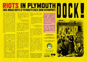 Click the image to read the RIOT in PLYMOUTH pamphlet 